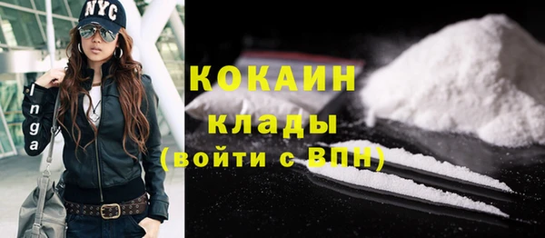 гашик Костерёво