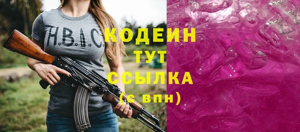 гашик Костерёво