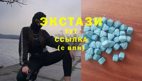 гашик Костерёво