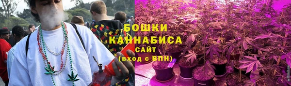 дурь Коряжма
