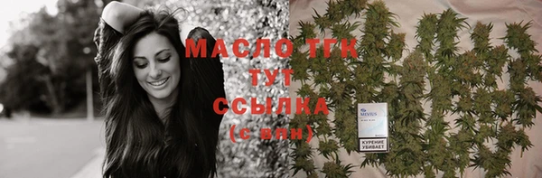 гашик Костерёво